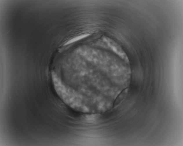 X0000088690134200706282010