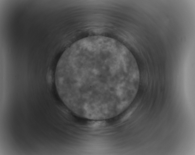 X0000088690135200706282010