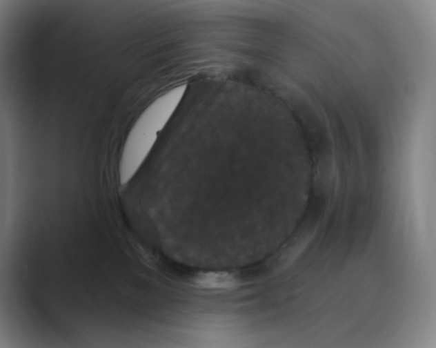 X0000088690137200706282010