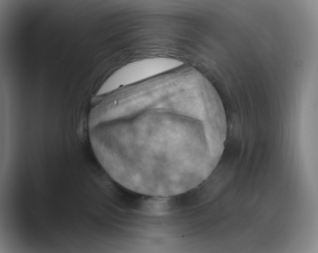X0000088690138200706282010