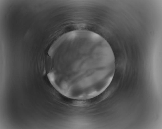 X0000088690139200706282010