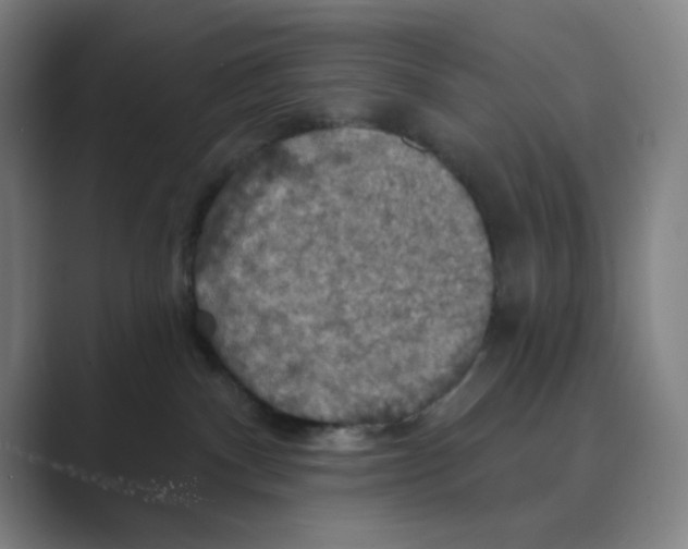 X0000088690140200706282010