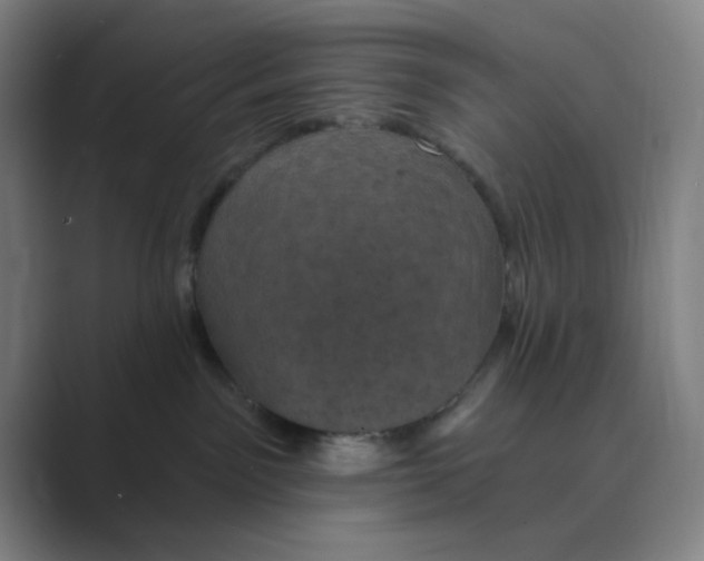 X0000088690141200706282010