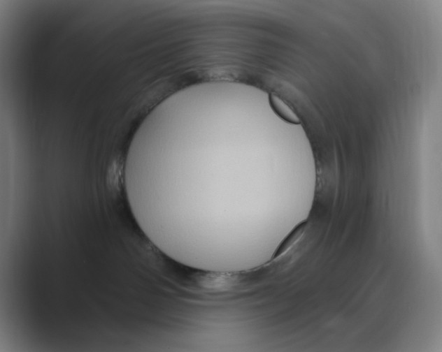 X0000088690142200706282010