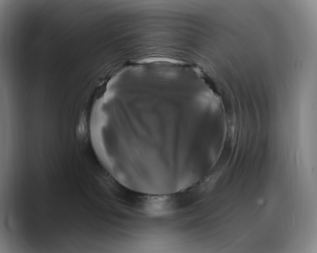 X0000088690143200706282010