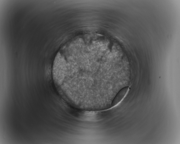 X0000088690144200706282010
