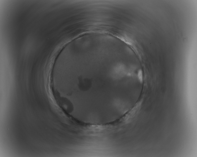 X0000088690145200706282009