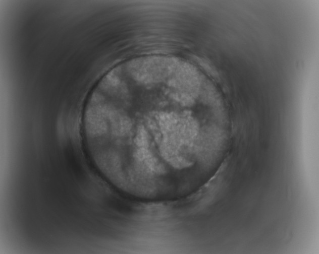 X0000088690146200706282009