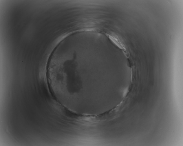X0000088690147200706282009