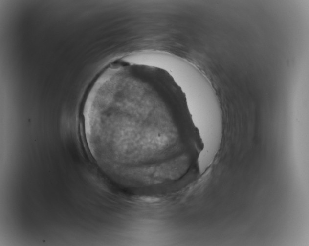 X0000088690148200706282009