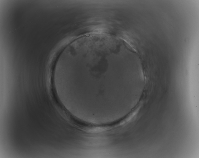 X0000088690149200706282009