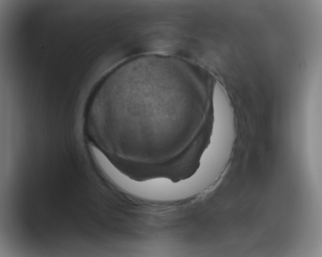 X0000088690150200706282009
