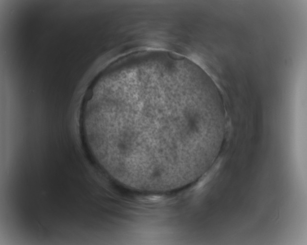 X0000088690151200706282009
