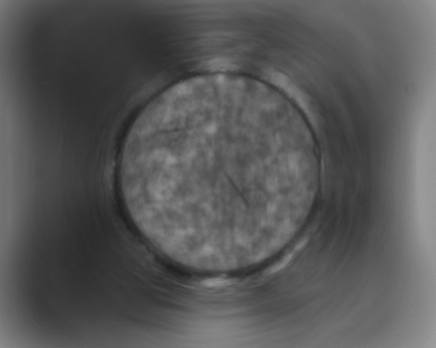 X0000088690153200706282009