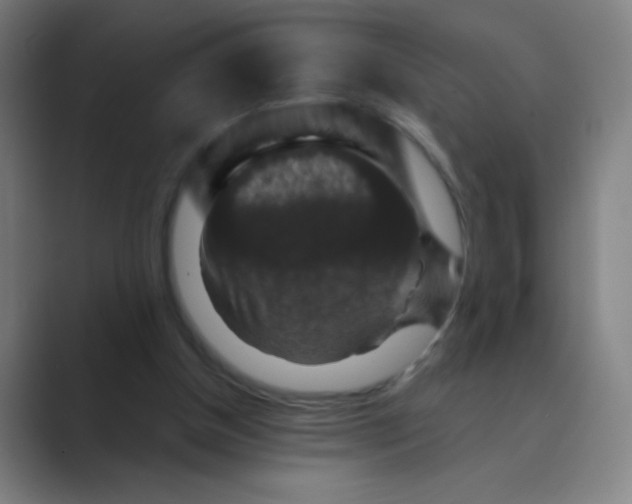 X0000088690154200706282009