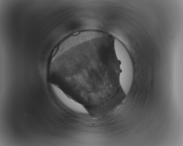 X0000088690156200706282009