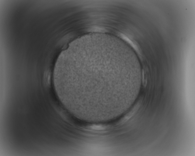 X0000088690157200706282009