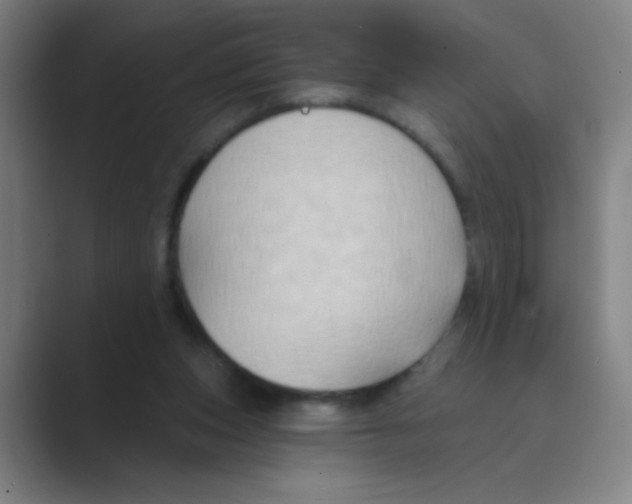 X0000088690159200706282009