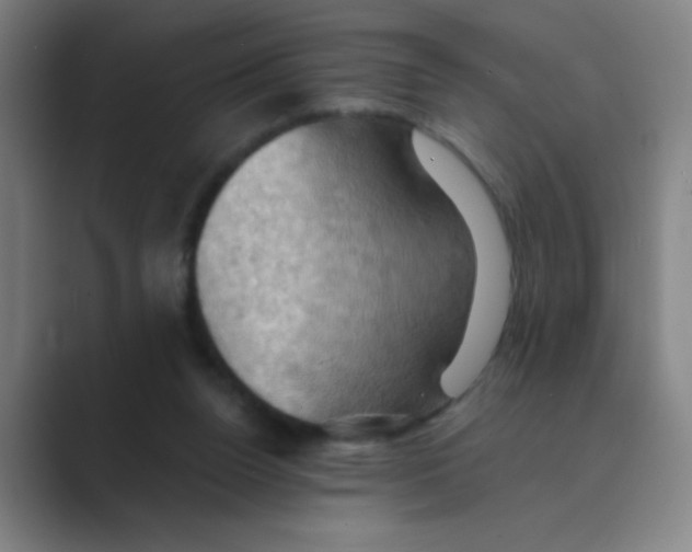 X0000088690160200706282009