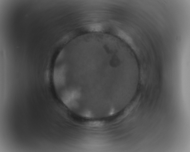 X0000088690161200706282009
