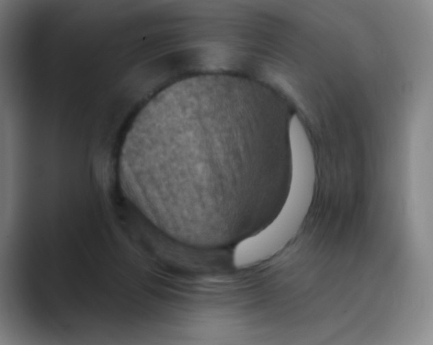 X0000088690164200706282009