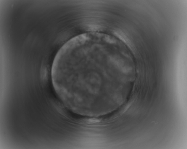 X0000088690165200706282009