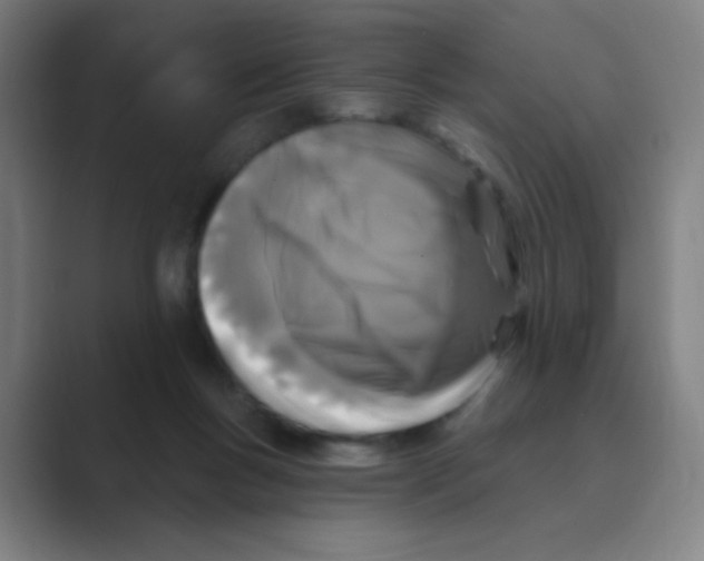 X0000088690167200706282009