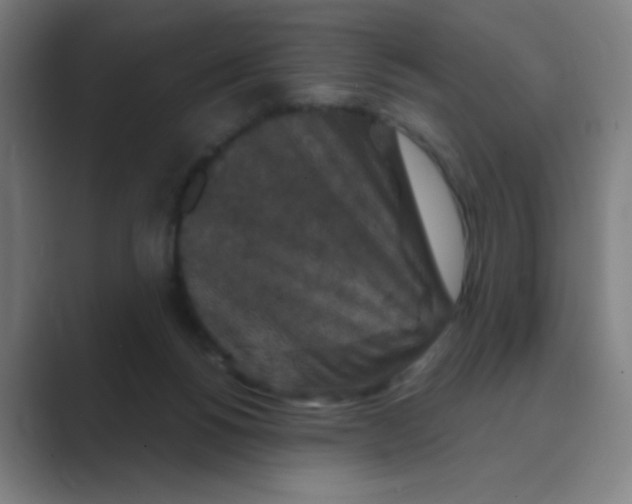 X0000088690168200706282009