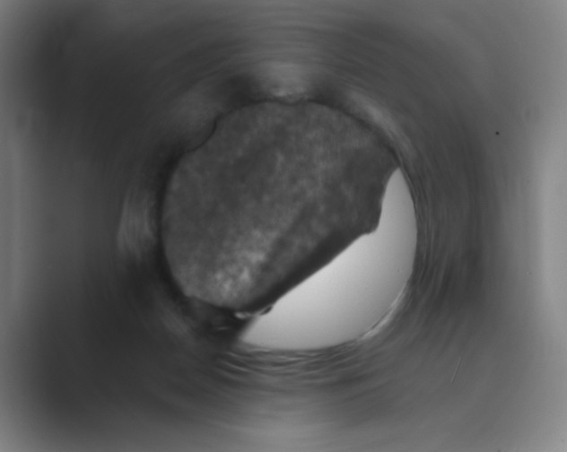 X0000088690170200706282010