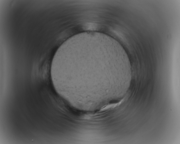 X0000088690171200706282010