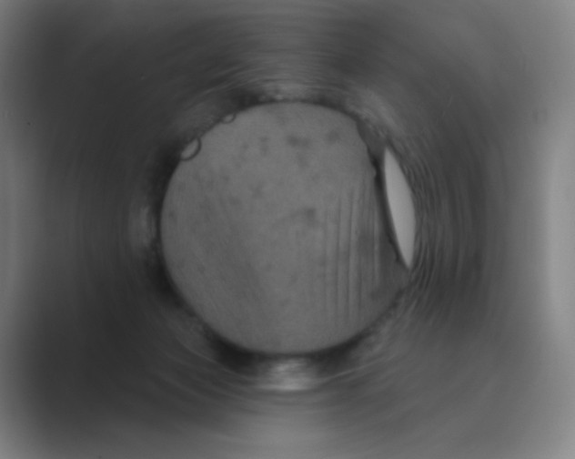 X0000088690173200706282010