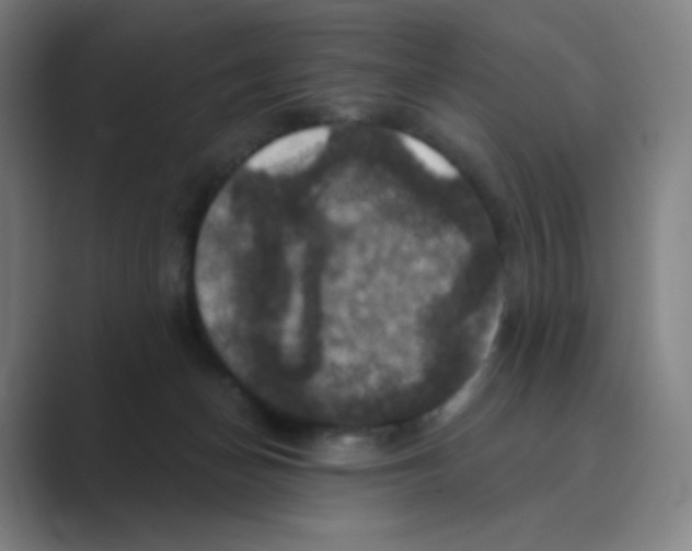 X0000088690174200706282010