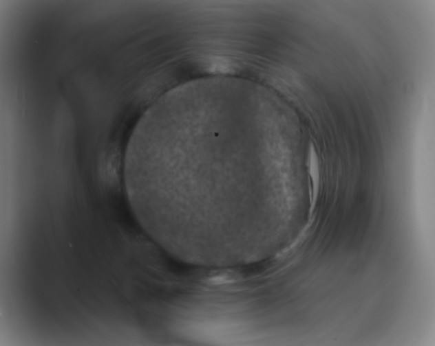 X0000088690175200706282010