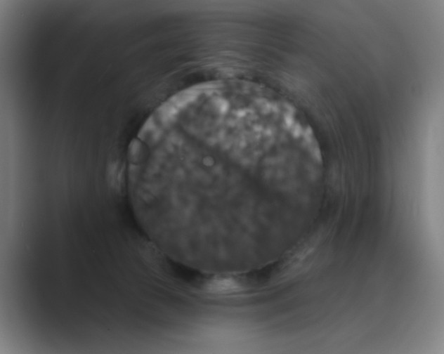 X0000088690177200706282010
