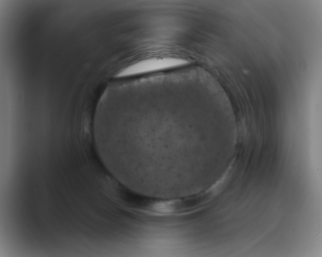 X0000088690178200706282010