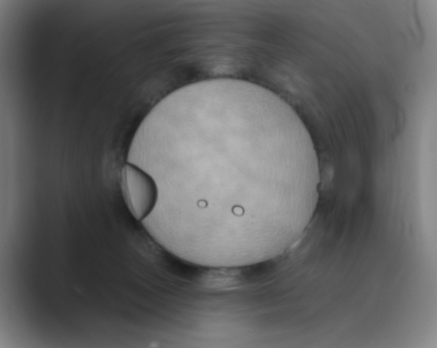 X0000088690179200706282010