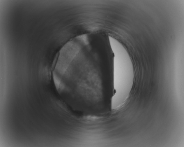X0000088690180200706282010