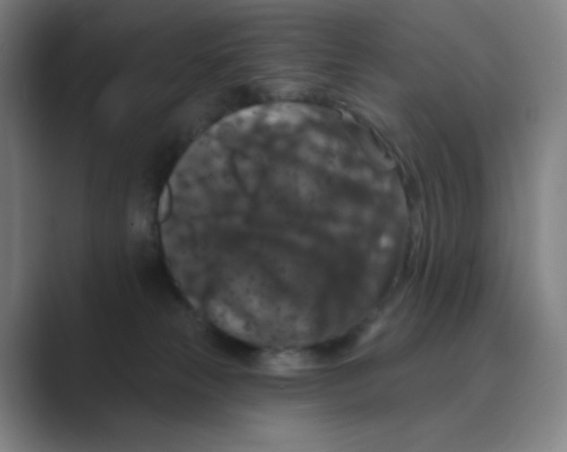 X0000088690181200706282010