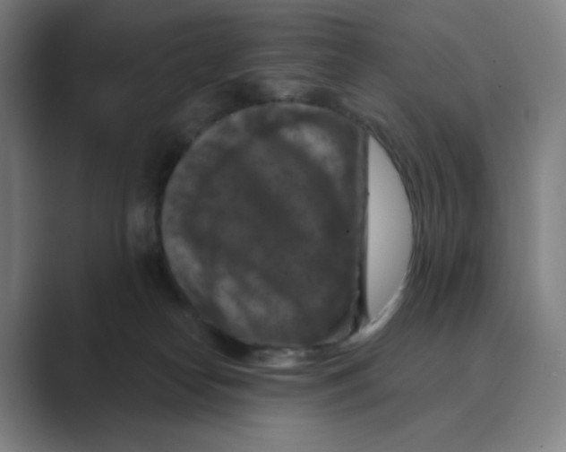 X0000088690182200706282010