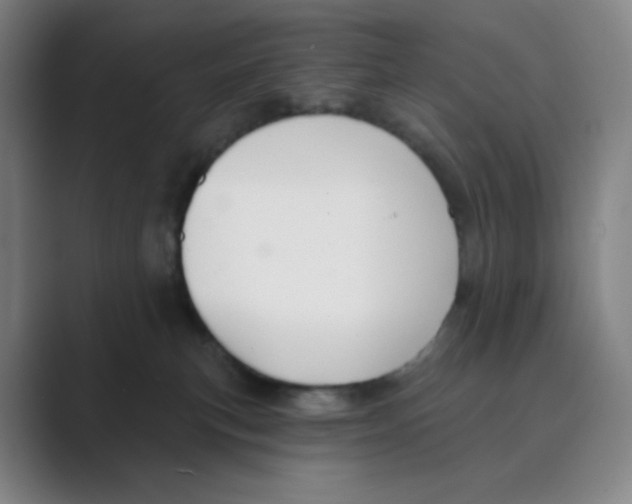 X0000088690183200706282010