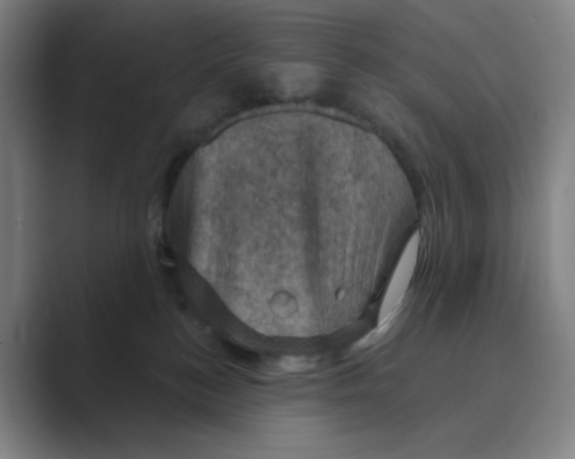 X0000088690184200706282010
