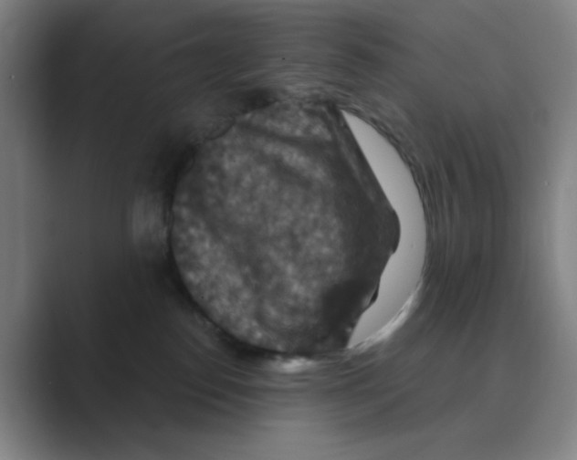 X0000088690186200706282010