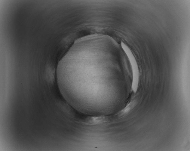 X0000088690188200706282010