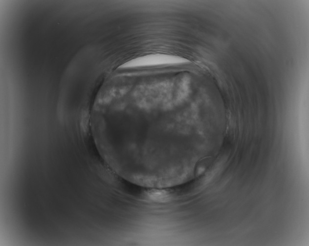 X0000088690189200706282010