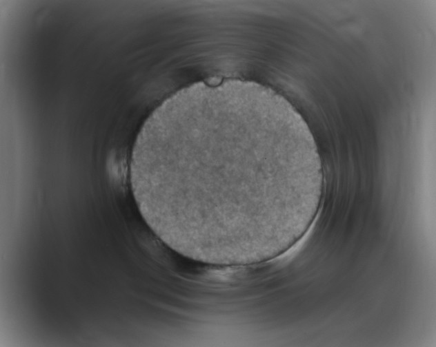 X0000088690190200706282010