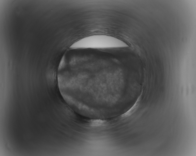 X0000088690192200706282010
