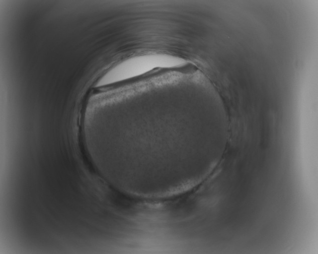 X0000088690194200706282009