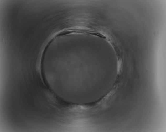 X0000088690195200706282009