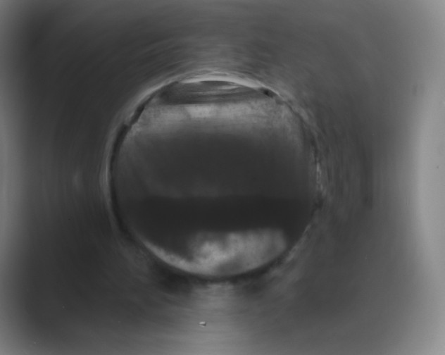 X0000088690196200706282009