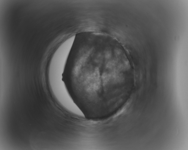 X0000088690197200706282009